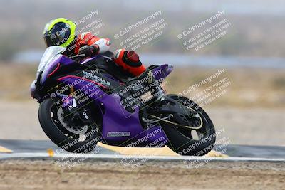 media/Mar-02-2025-Race Pace (Sun) [[8bec80ae00]]/12-Vested (Turn 2) 1111am/